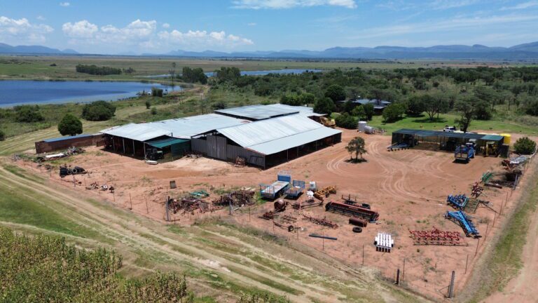 DCIM101MEDIADJI_0345