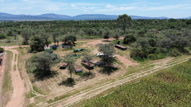 DCIM101MEDIADJI_0346