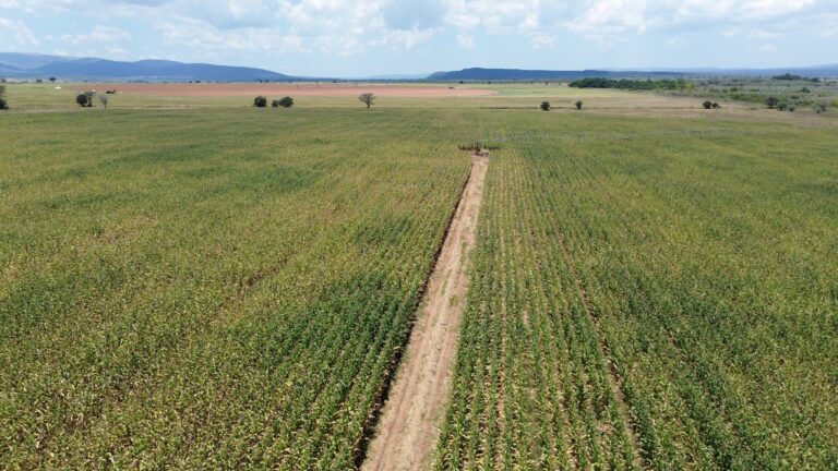 DCIM101MEDIADJI_0347