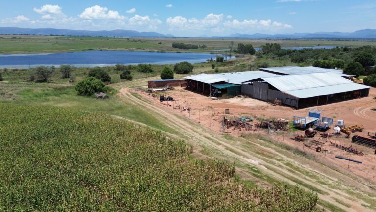 DCIM101MEDIADJI_0348