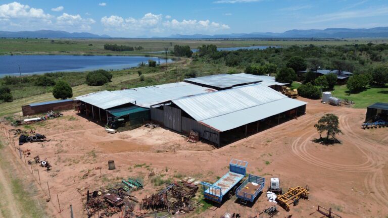 DCIM101MEDIADJI_0349