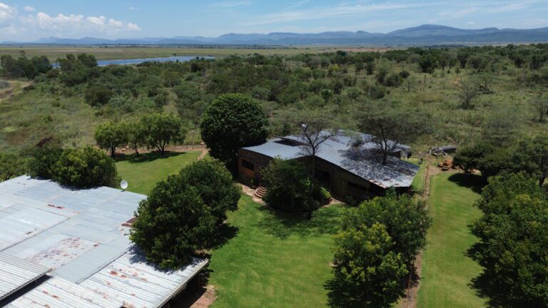 DCIM101MEDIADJI_0352