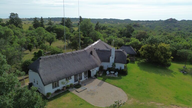 DCIM101MEDIADJI_0541