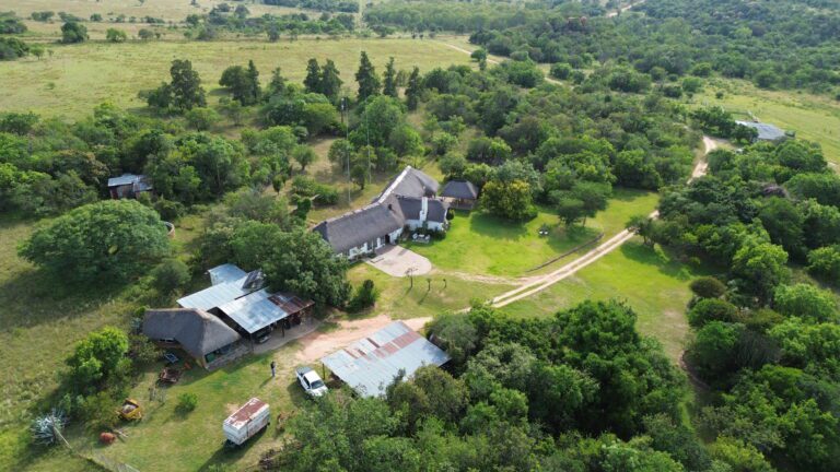 DCIM101MEDIADJI_0542