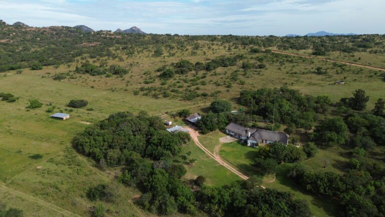 DCIM101MEDIADJI_0544