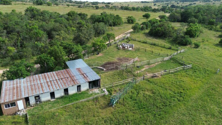 DCIM101MEDIADJI_0545