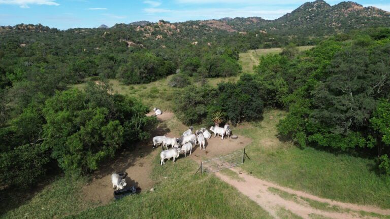 DCIM101MEDIADJI_0546