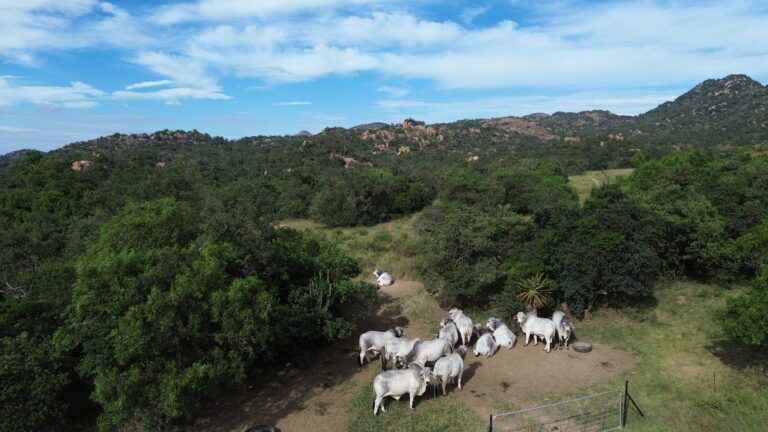 DCIM101MEDIADJI_0547