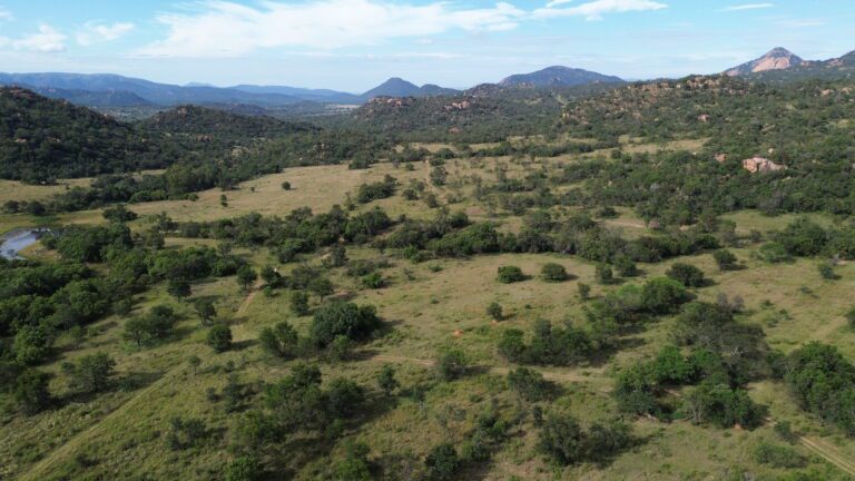 DCIM101MEDIADJI_0548