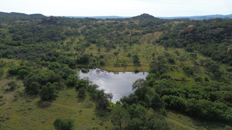 DCIM101MEDIADJI_0549