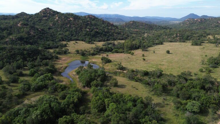 DCIM101MEDIADJI_0550