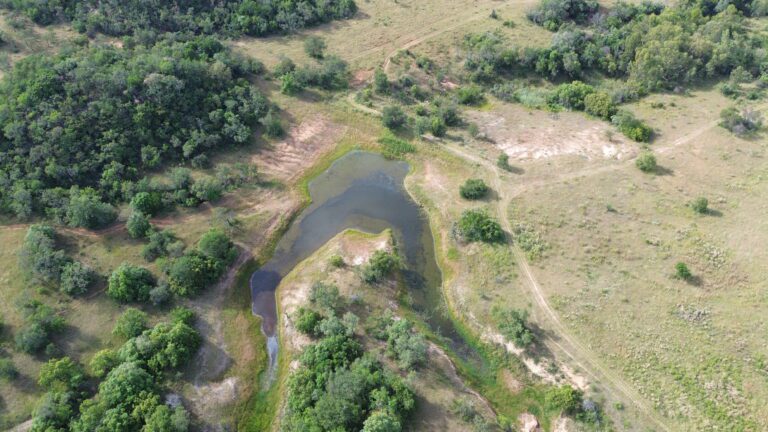 DCIM101MEDIADJI_0551