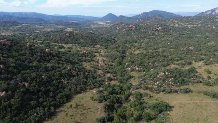 DCIM101MEDIADJI_0552