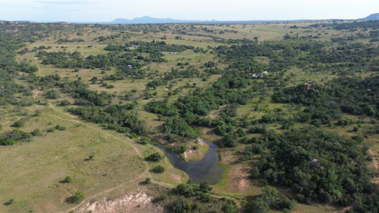 DCIM101MEDIADJI_0553