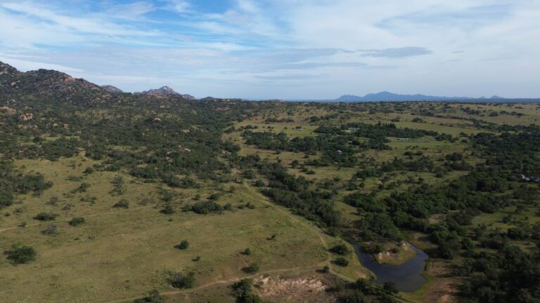 DCIM101MEDIADJI_0554