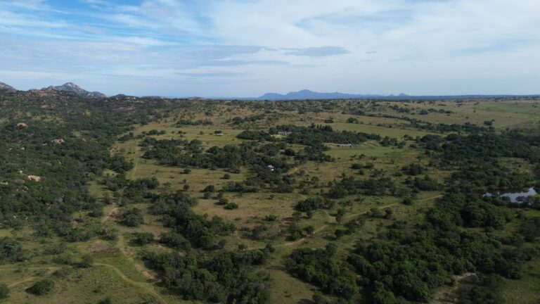 DCIM101MEDIADJI_0555