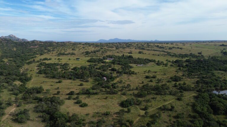 DCIM101MEDIADJI_0556