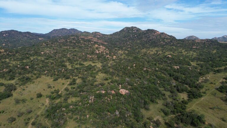 DCIM101MEDIADJI_0557