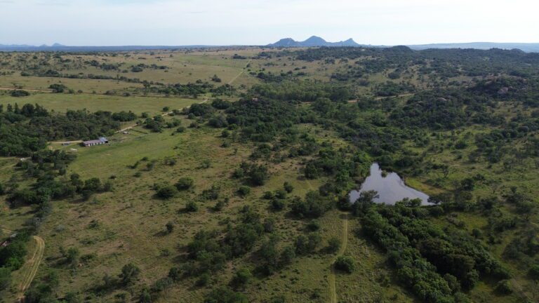 DCIM101MEDIADJI_0558