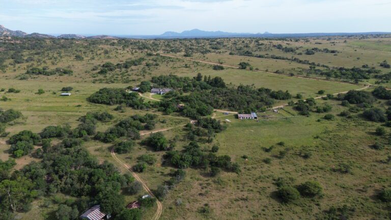 DCIM101MEDIADJI_0559