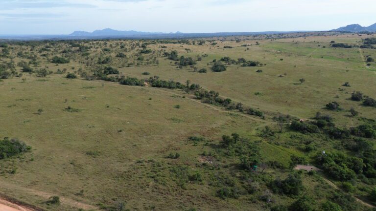 DCIM101MEDIADJI_0560