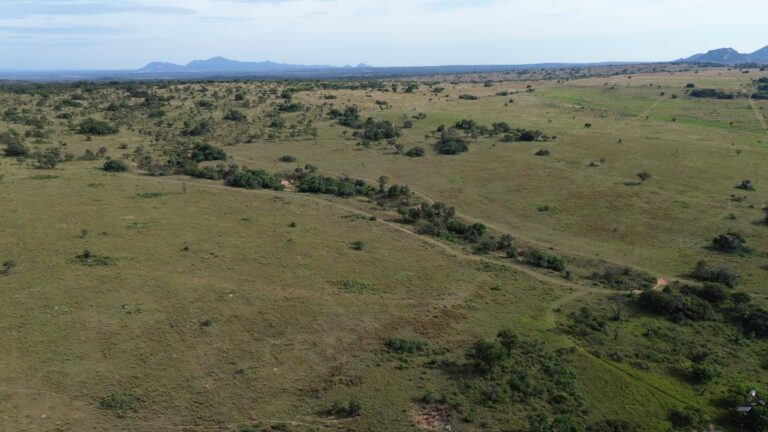 DCIM101MEDIADJI_0561