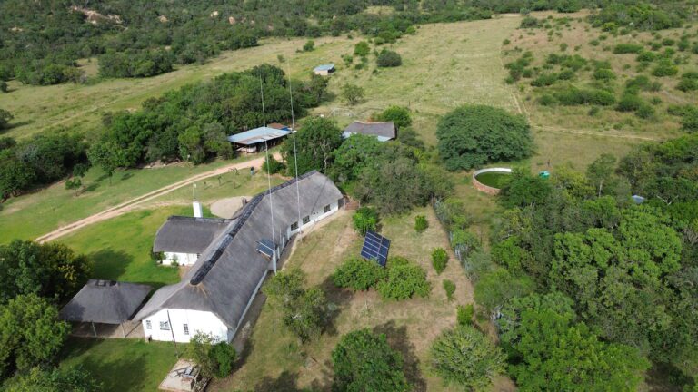 DCIM101MEDIADJI_0563