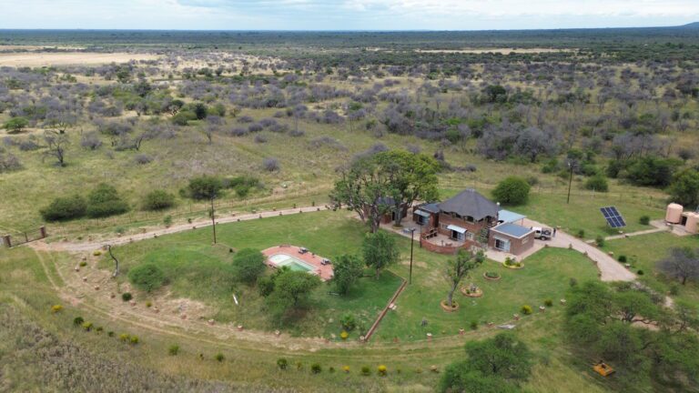 DCIM101MEDIADJI_0605