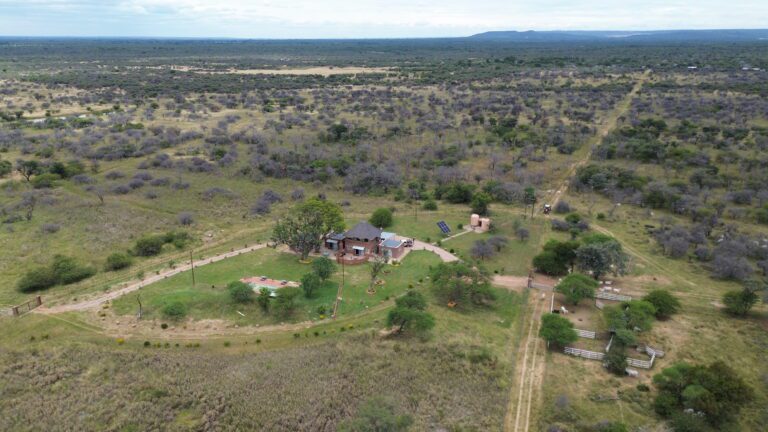 DCIM101MEDIADJI_0606