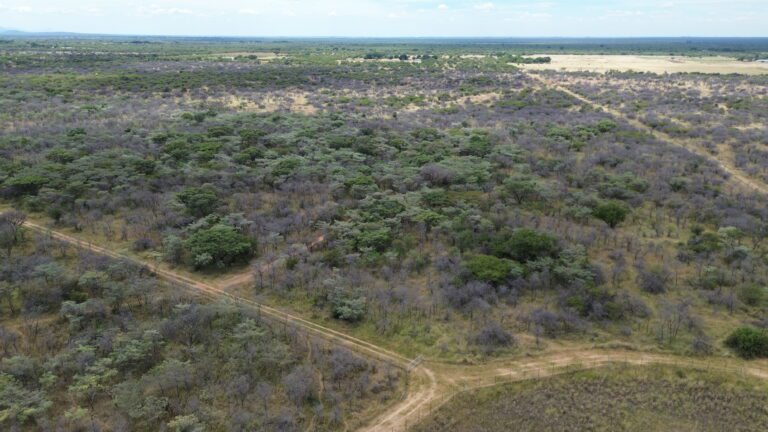 DCIM101MEDIADJI_0607