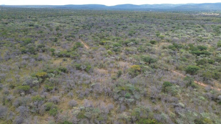 DCIM101MEDIADJI_0608