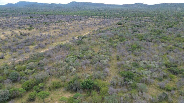 DCIM101MEDIADJI_0609