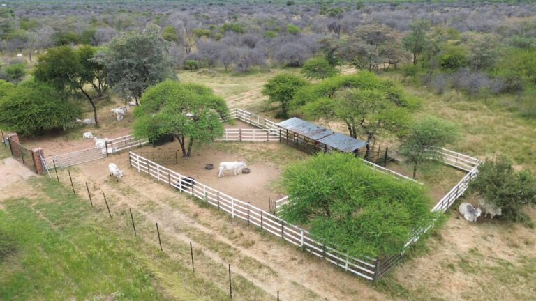 DCIM101MEDIADJI_0611