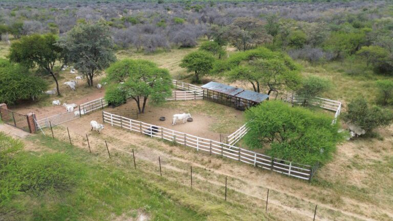 DCIM101MEDIADJI_0612