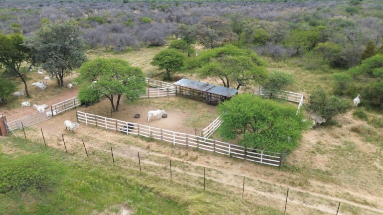 DCIM101MEDIADJI_0613