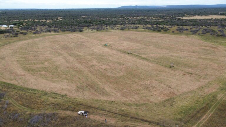 DCIM101MEDIADJI_0615