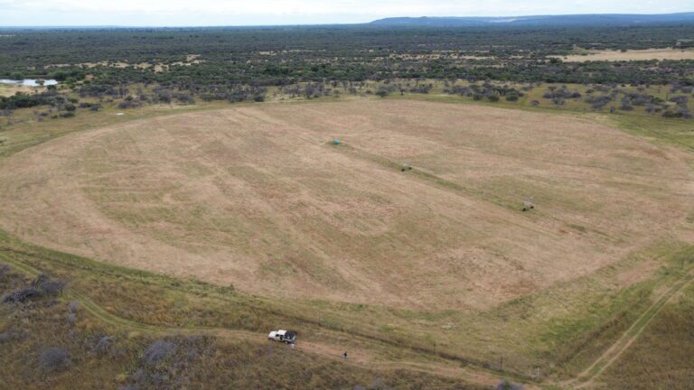 DCIM101MEDIADJI_0616