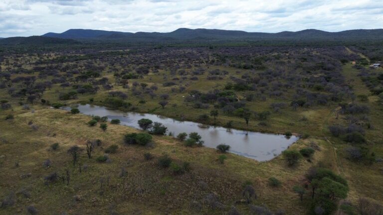 DCIM101MEDIADJI_0617