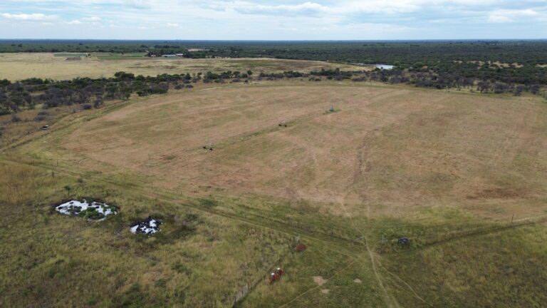 DCIM101MEDIADJI_0618