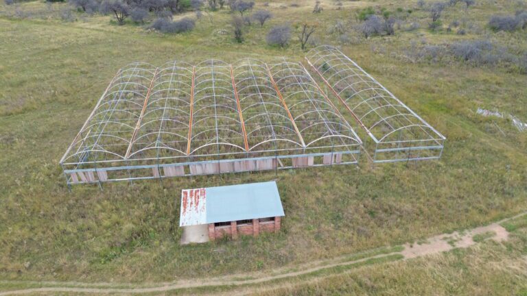 DCIM101MEDIADJI_0619