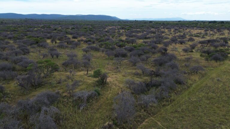 DCIM101MEDIADJI_0620