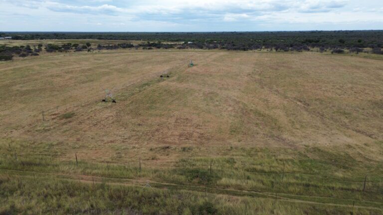 DCIM101MEDIADJI_0621