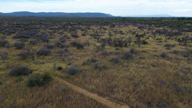 DCIM101MEDIADJI_0622