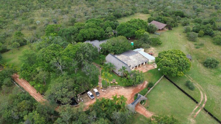 DCIM101MEDIADJI_0623