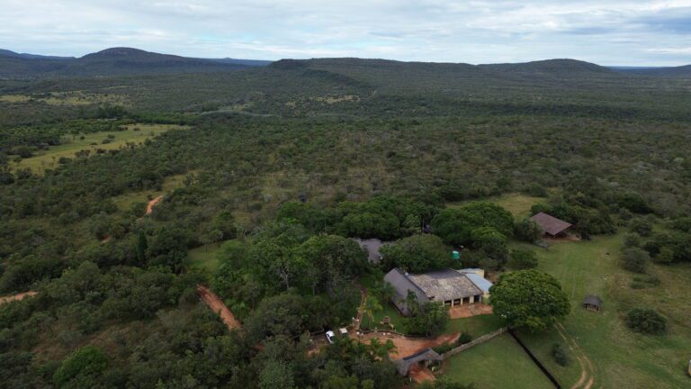 DCIM101MEDIADJI_0625