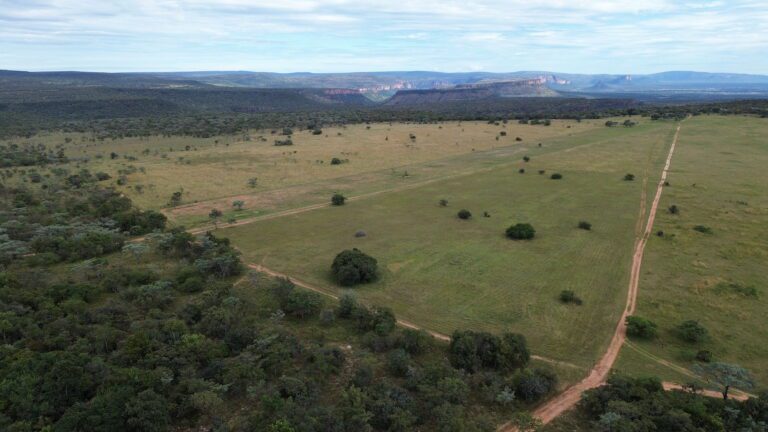 DCIM101MEDIADJI_0626