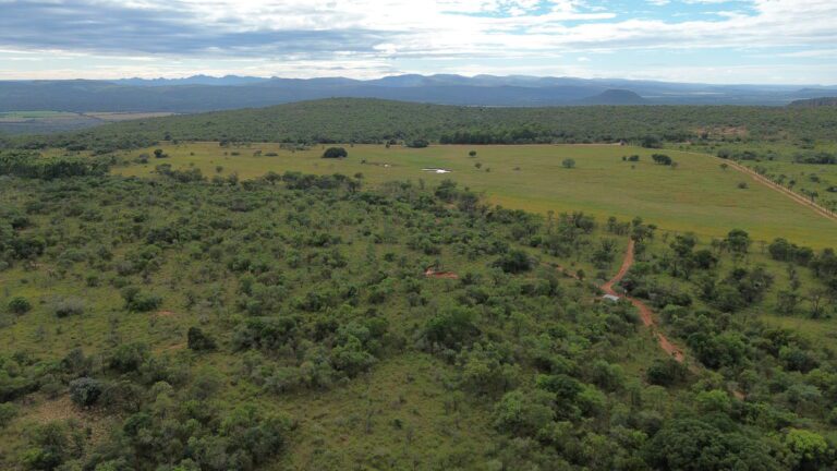 DCIM101MEDIADJI_0627