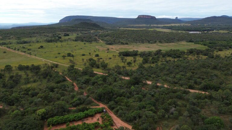 DCIM101MEDIADJI_0628