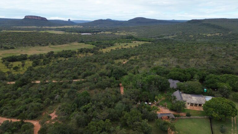 DCIM101MEDIADJI_0629