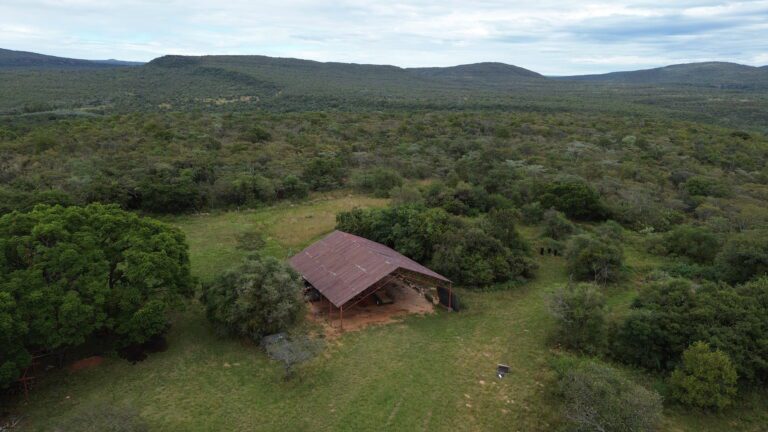 DCIM101MEDIADJI_0630